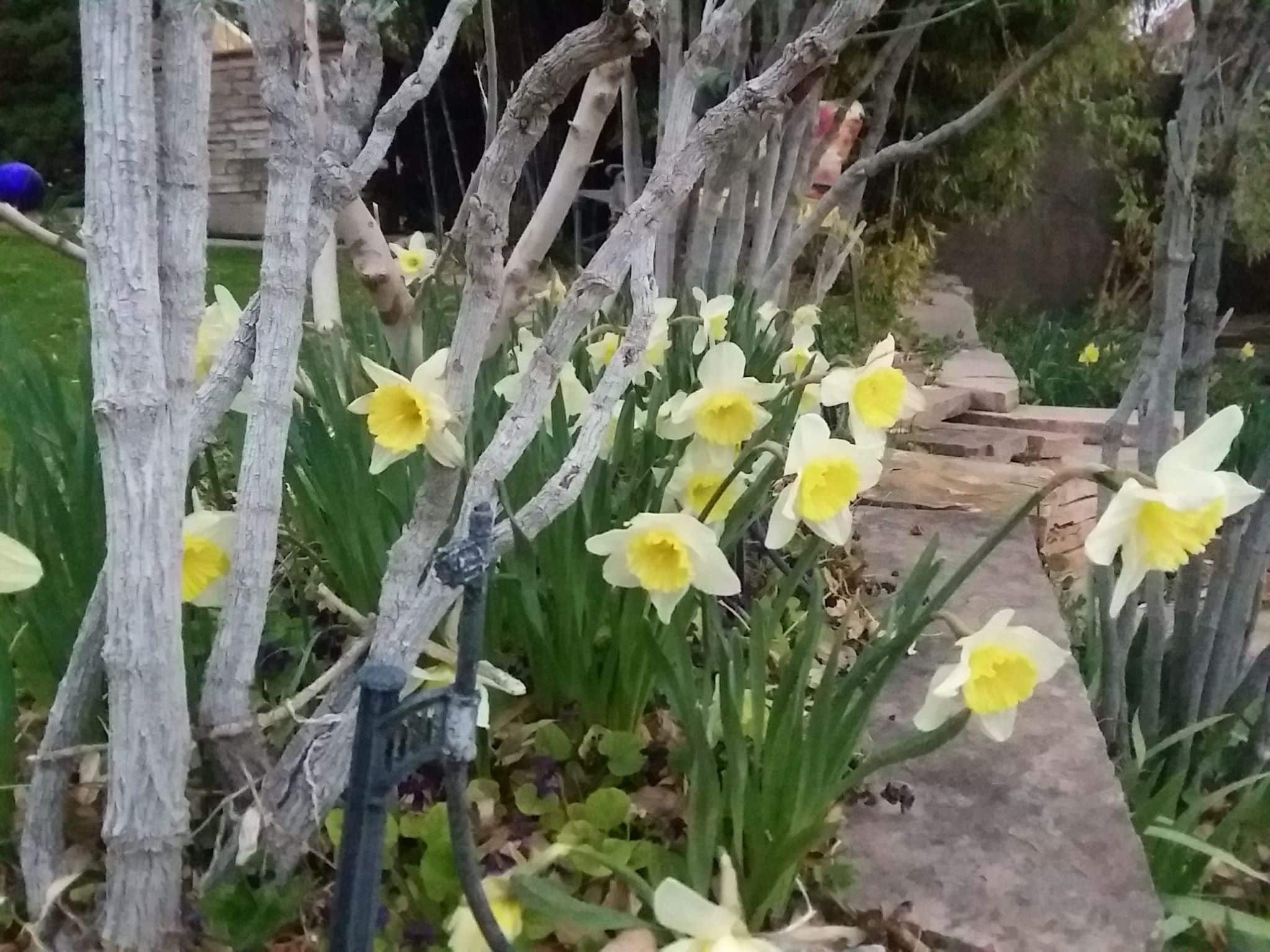 Nature's bouquet