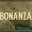Bonanza 3