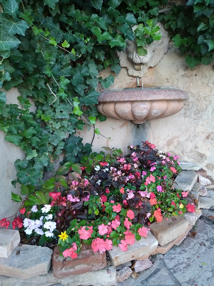 Fleurs 6 Fleurs 6