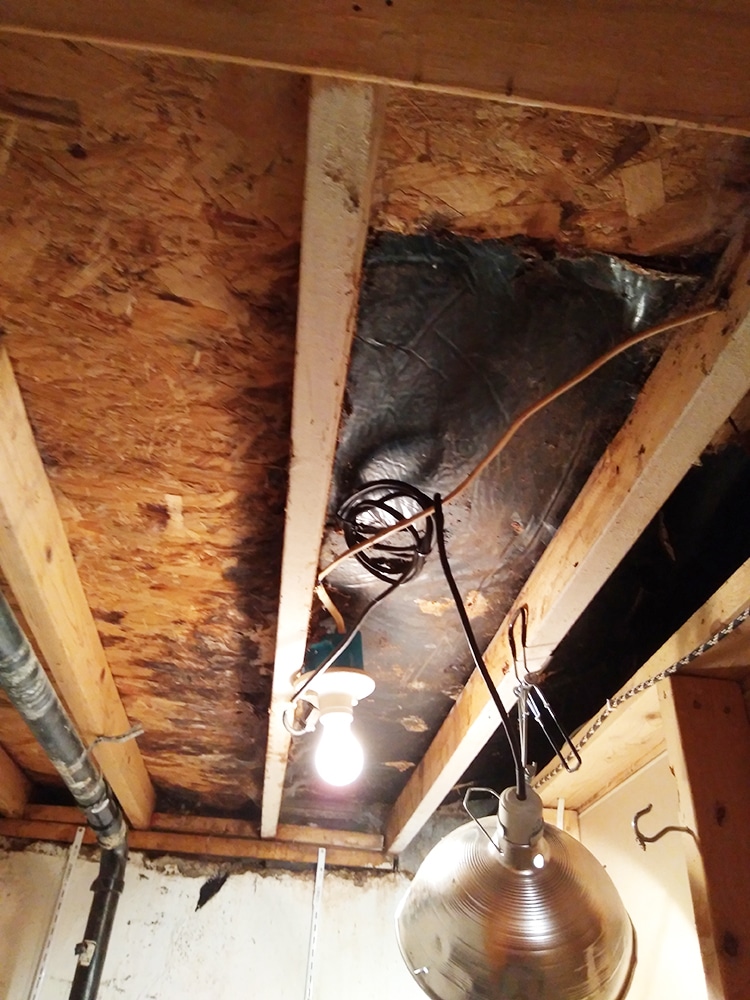 under the landing 10-23-22
