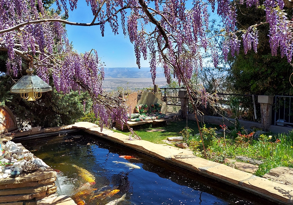 breath-taking – crop 4-15-21
