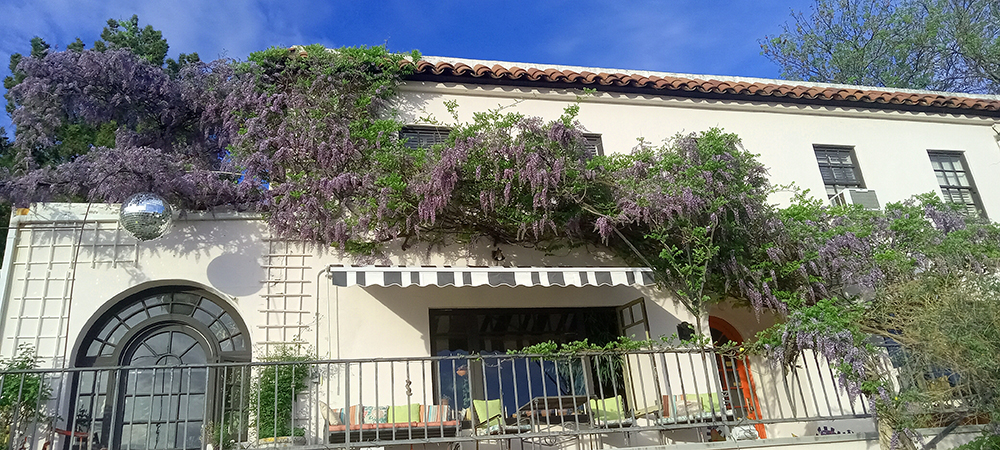 April Happenings