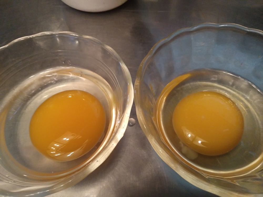 Ducky Dopamine & More