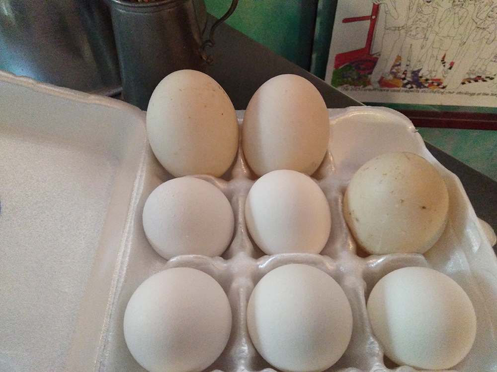 Into Skyscapes & Food