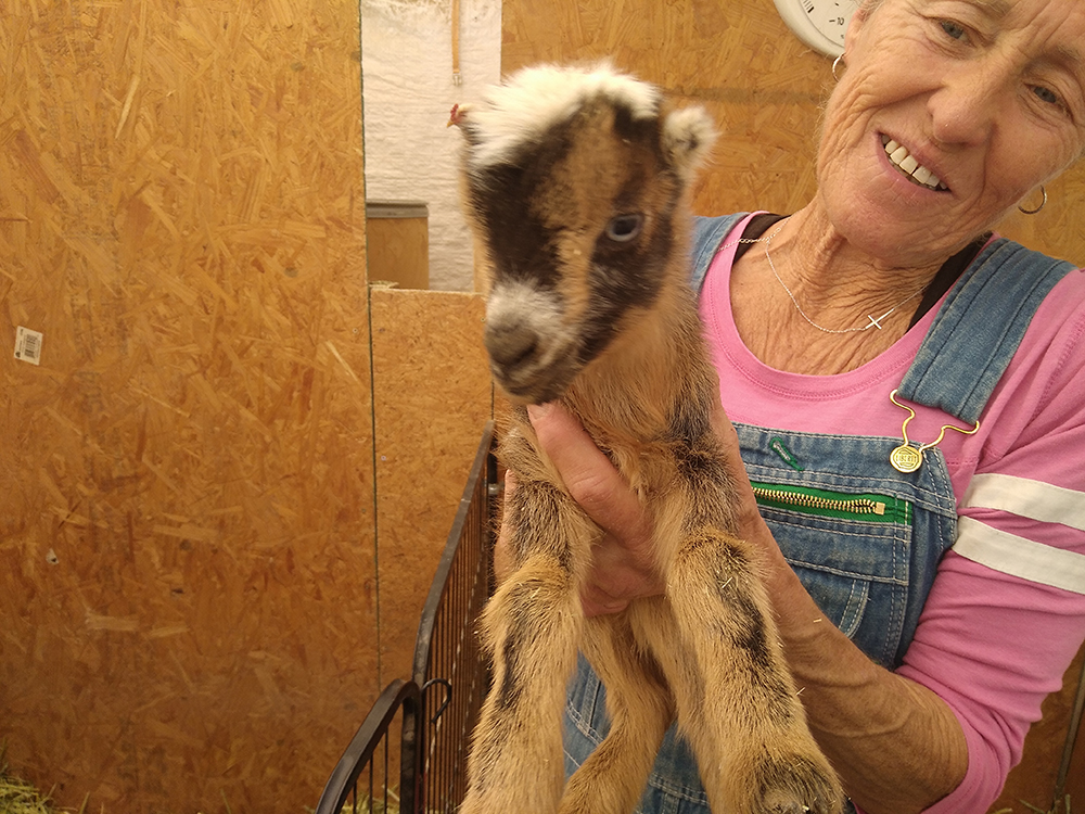 Ahhhhhhh . . . We’re Just Kidding Around!