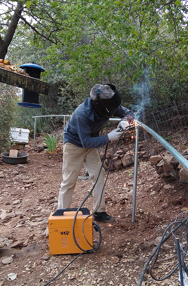 We BEE Safely Happening — YAY!