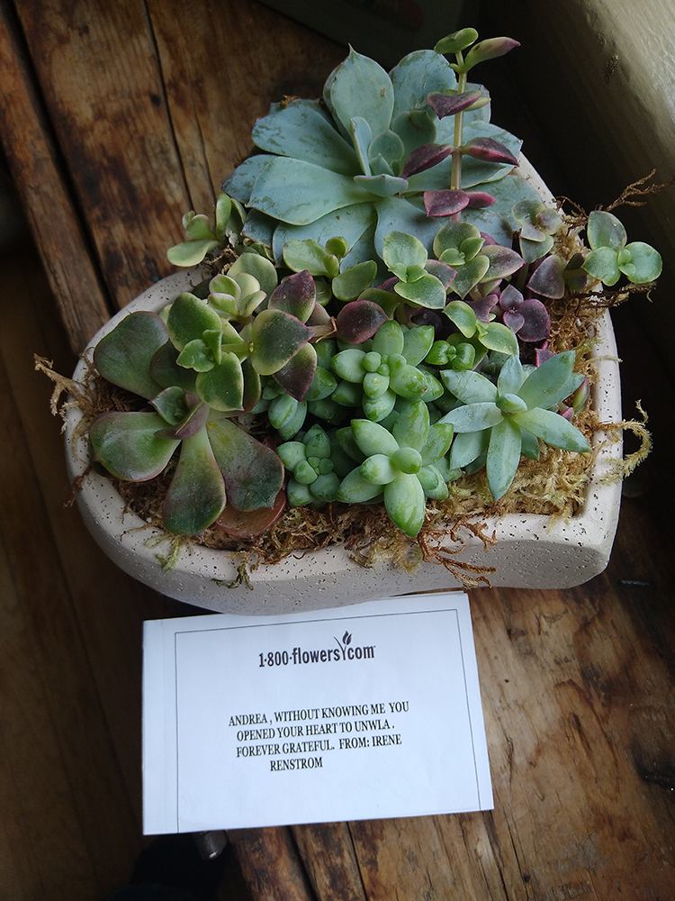 If you aren’t saying its WRONG, you’re saying its RIGHT